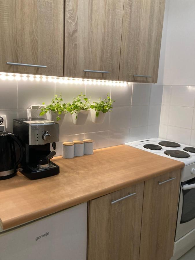 Mietowy Zakatek Apartment Kłodzko Eksteriør bilde